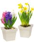 Preview: wooden flower pot, Set of 2