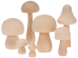 Preview: Wooden mushroom, set 7-pcs.