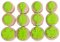Preview: Wooden Stamps "Leaves", 12pcs.