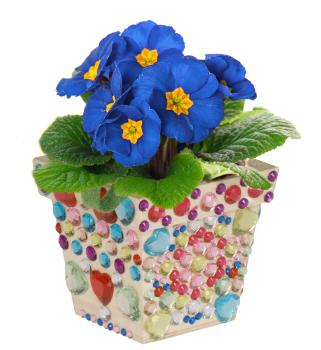 wooden flower pot, Set of 2
