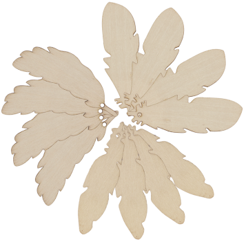 Wooden Feathers, Set of 12