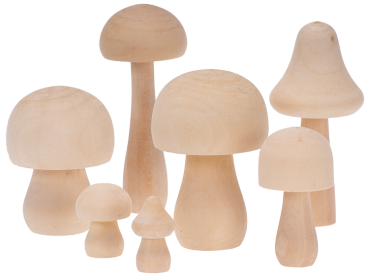 Wooden mushroom, set 7-pcs.